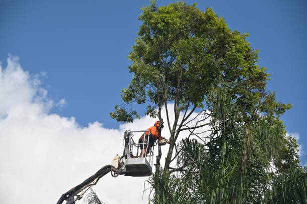 Soil Testing and Treatment in Kensington Park, FL